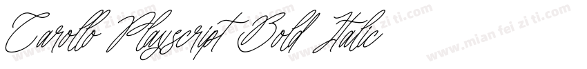 Carollo Playscript Bold ItalicVersi字体转换